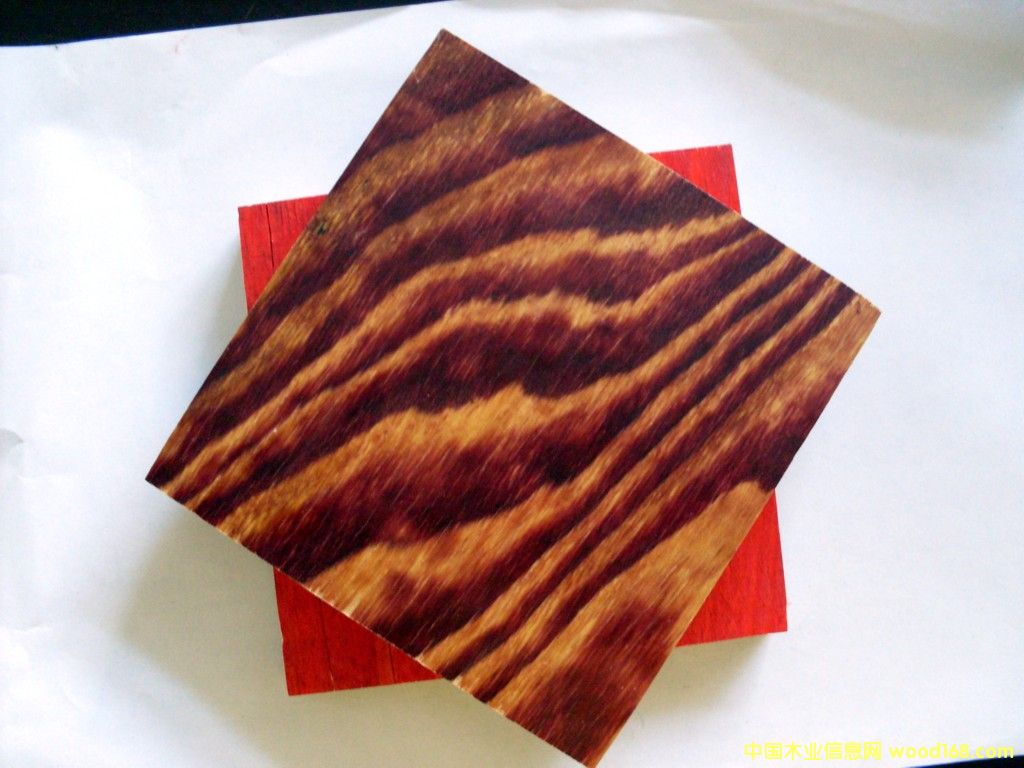 ����ģ��