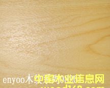 �@���(ch��ng)�،�(zhu��n)�õذ�