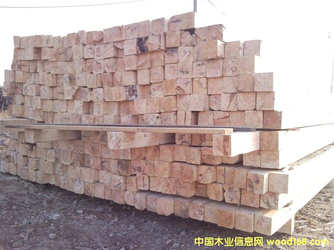 �����ɷ�ľ��Ԕ����B