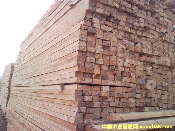 ������ľ����Ԕ����B