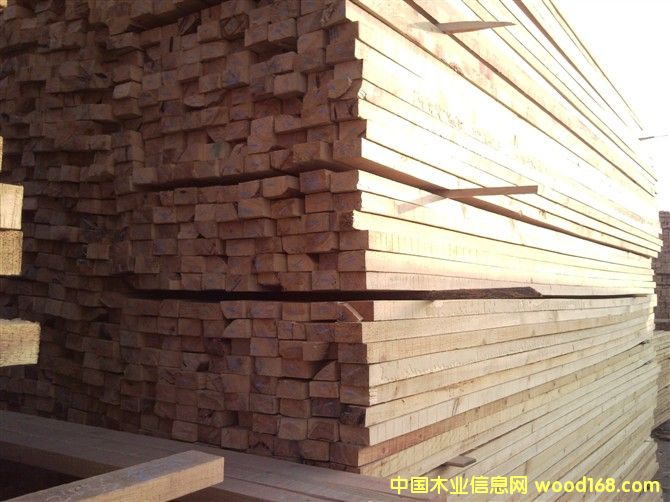 ������ľ����Ԕ����B