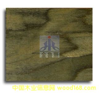 carb�󻨺ں��ҿƼ�ľ��ľ��ľƤ��Ԕ����B