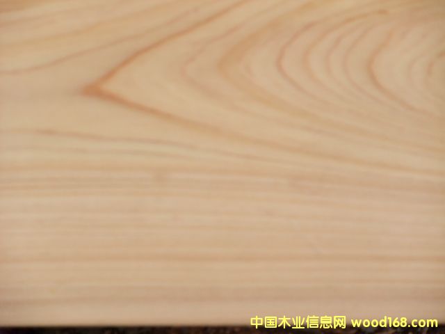 ��ľ��Ԕ��(x��)��B