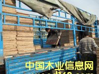 ��(y��u)�|(zh��)�а� �b܇�F(xi��n)��(ch��ng)