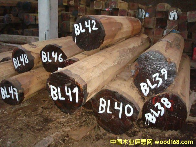 ͬ����ľTIPA��Ԕ����B