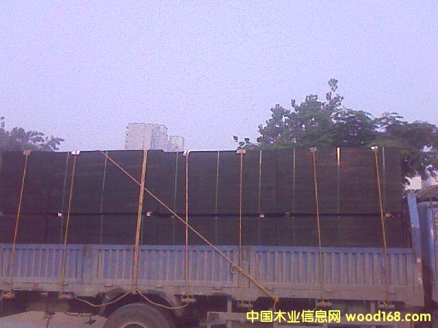 3*6��Ĥ���Ԕ��(x��)��B