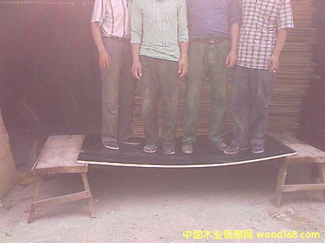 3*6��Ĥ���Ԕ��(x��)��B