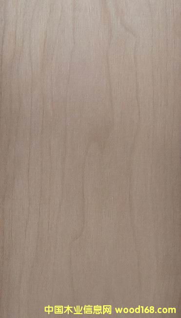 ��Й��Ҍ�(sh��)ľ����