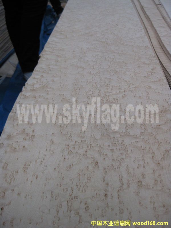 ����ľƤ������Ʒ--0.6��ľȸ��3