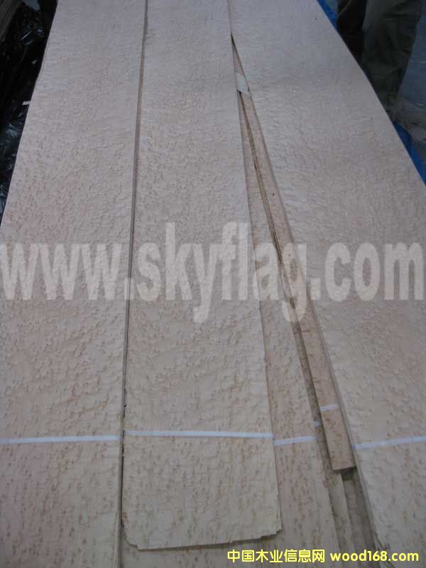 ����ľƤ-0.3��ľȸ��