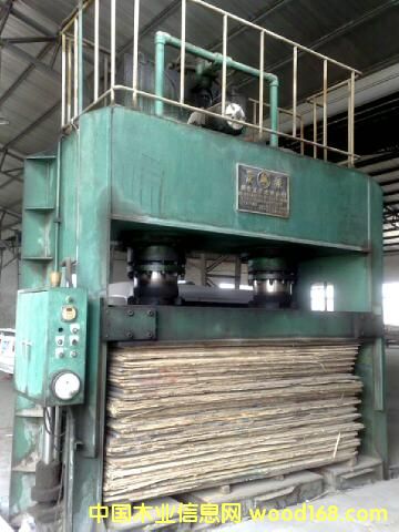 �_���Ԕ��(x��)��B