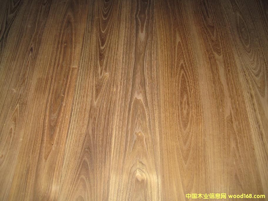 ��ľ�ذ���������ľ��Ԕ����B