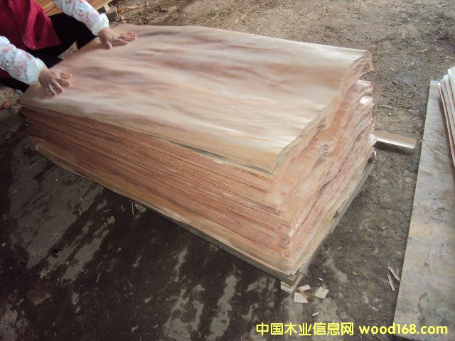 �ذ�Ƥ��Ԕ��(x��)��B