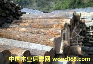 ���S�L�ڹ���(y��ng)��ľ��ԭľ.��ģ���Ԕ��(x��)��B