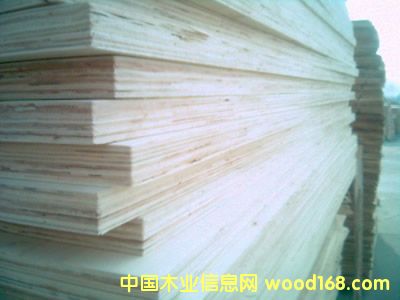 ����ģ���Ԕ����B