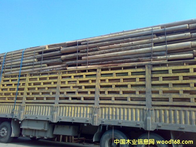 ɼԭľ��Ԕ��(x��)��B