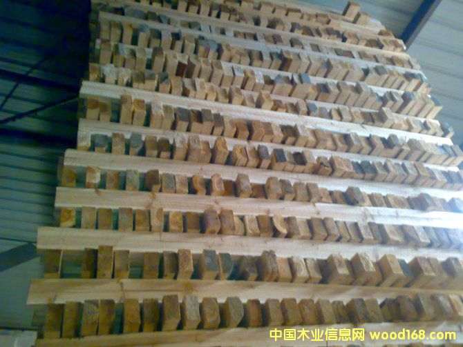 ɼľ����Ԕ��(x��)��B