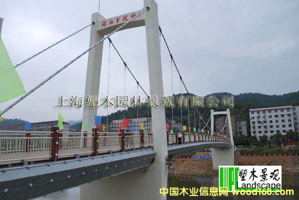 ������ľ��3