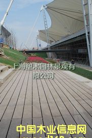 ������ľ�ذ�7