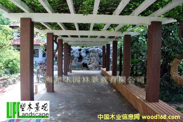 �Ϻ������@��ľ����