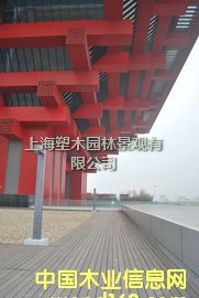 ������ľ�ذ�5