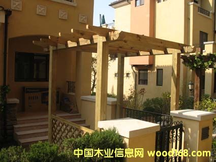 ��������ľ