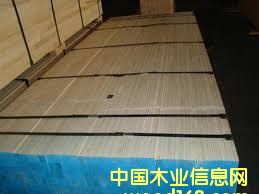 ��ľ�_̤��