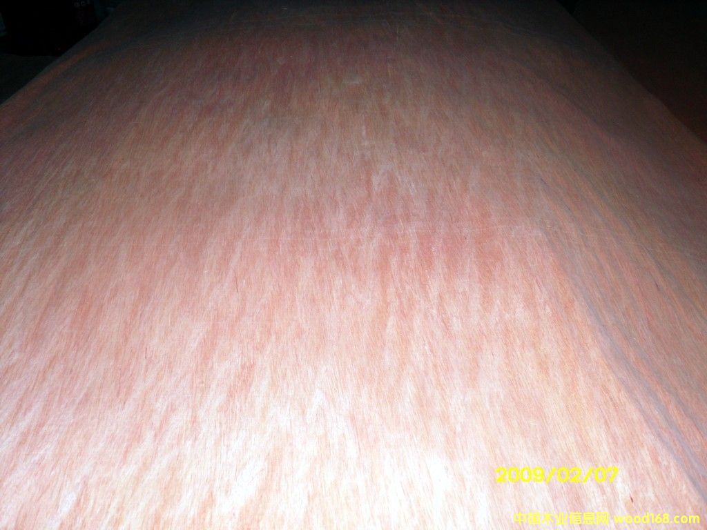 ���ǹ��ΰ��Ԕ��(x��)��B