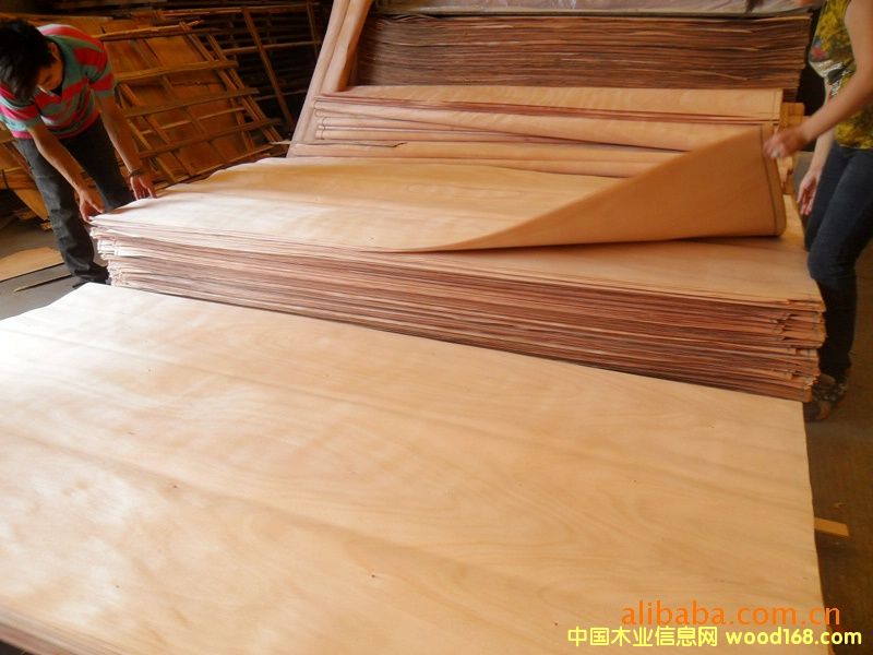 �t�ϙ�ΰ��Ԕ��(x��)��B