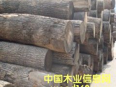 �M(j��n)��ԭľ