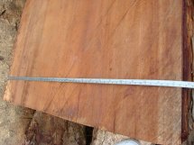 ��(y��u)�|(zh��)�����e�һ�оľ��Ԕ��(x��)��B