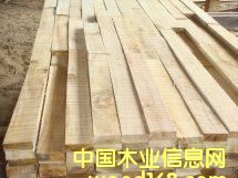 �����ĵذ����ϵ�Ԕ��(x��)��B