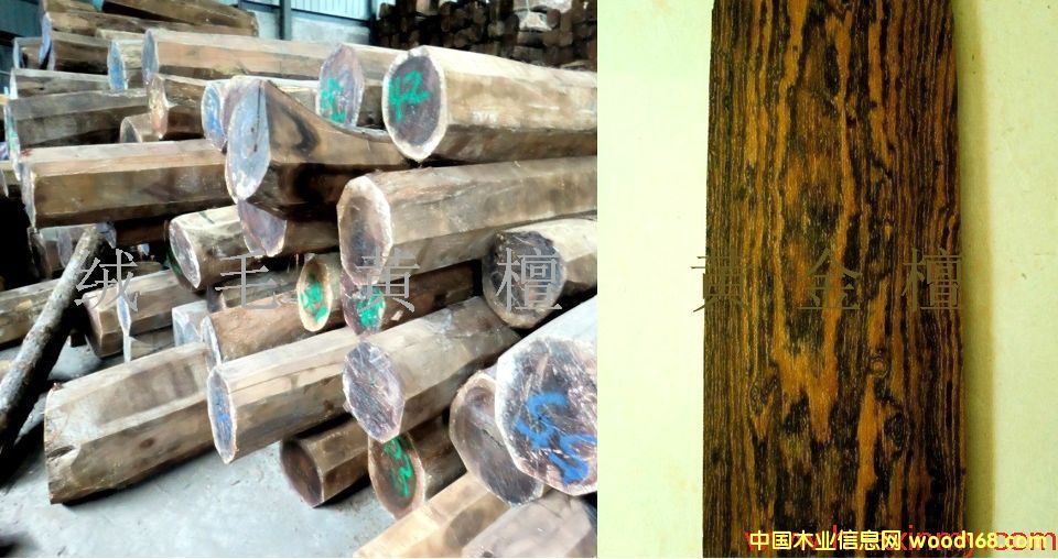 �që�S̴ �S��̴