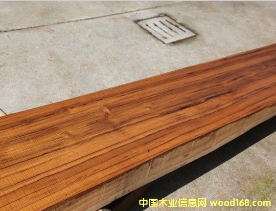 ������ľ