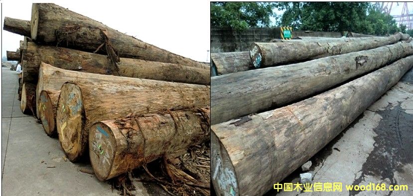 ���ǹ�����Ī��