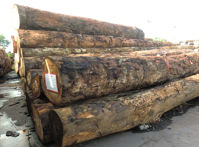 �t��(ji��n)