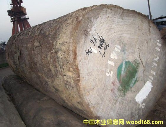 �ͻ��������S���棩