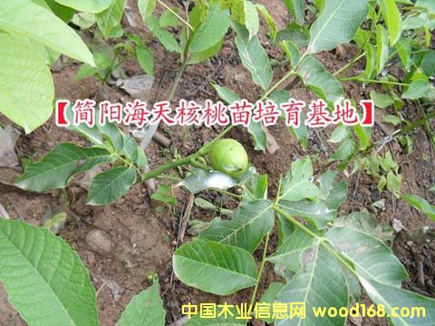 2010���＾������-����A(y��)ӆ��