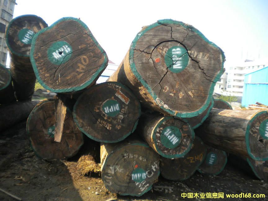 �¼t�����Ԕ��(x��)��B