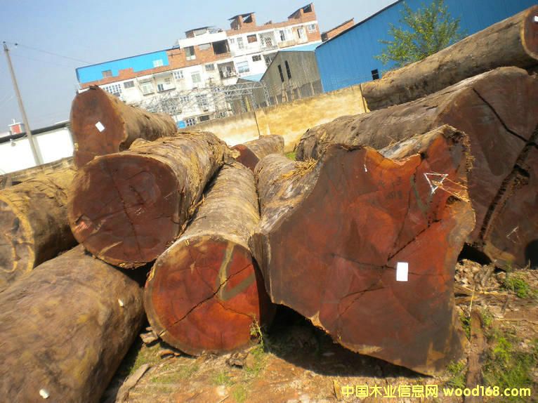 ӡ�Შ�_���Ԕ��(x��)��B