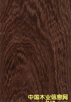 �{(l��n)ɫ�l(w��i)���������(y��ng)��(y��u)�|(zh��)�u��ľ�ذ壬�gӭ���ӆُ