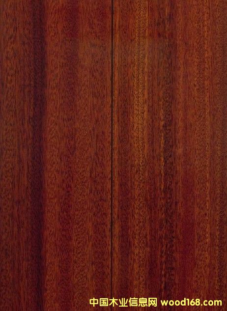 �{(l��n)ɫ�l(w��i)���������(y��ng)��(y��u)�|(zh��)��̴�ذ�