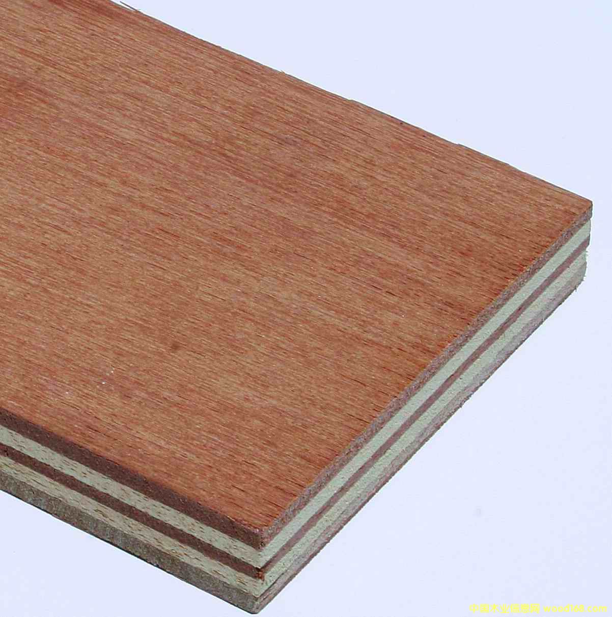 �M(j��n)���z�ϰ�