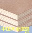 ���Ӱ��Ԕ��(x��)��B