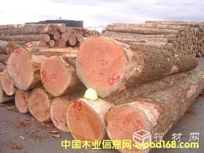 ݗ���ɵ�Ԕ��(x��)��B