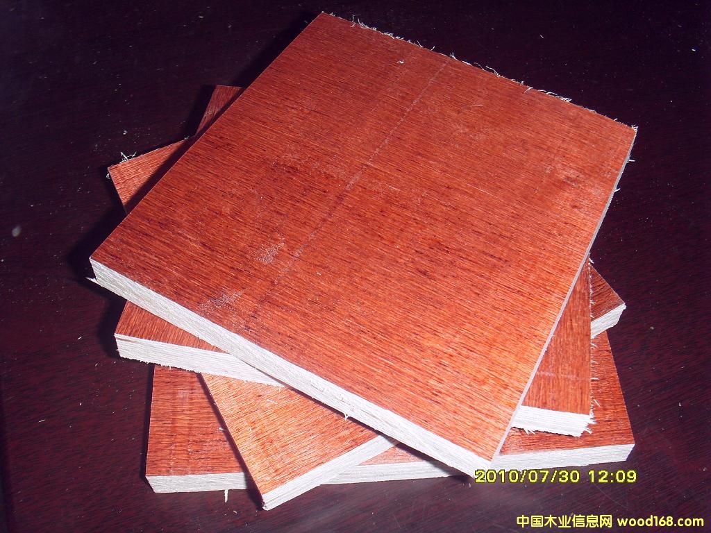 �R��oĤ�t�潨��ģ��