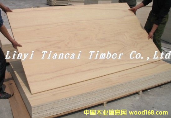 ɽ�𻨶��Ӱ�1