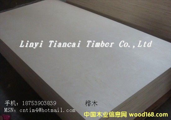 ��ľ����z�ϰ�