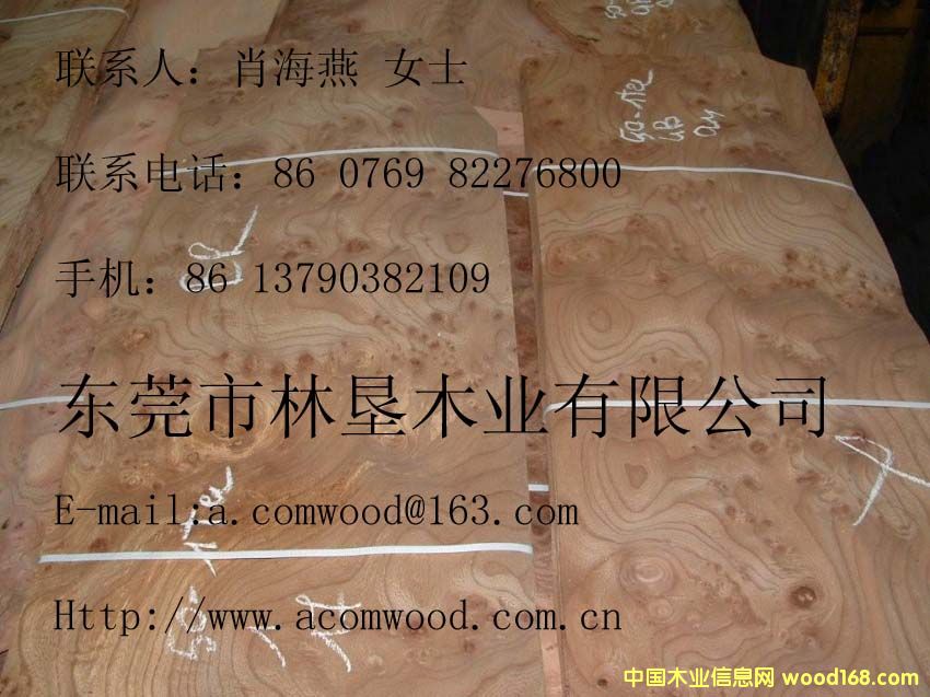 ��ľ����