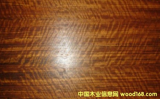 ��֦Ӱ��Ԕ��(x��)��B